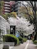 出勤のお知らせ