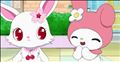 ｲﾙﾖ
