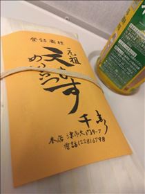 なつ・あれ？ただのおにぎり？
