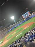 夜は