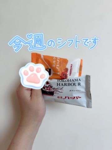 今週のシフト！