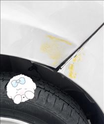 まりん・みぇーーーん