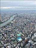 さすがに見つけられなかった