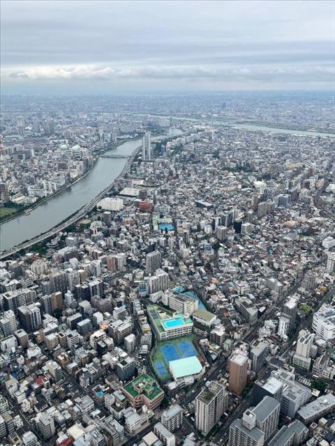 さすがに見つけられなかった