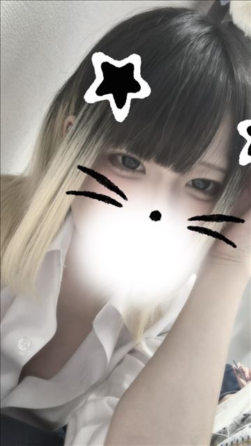 今日居ます