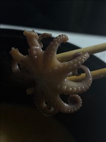 れな・いるよ