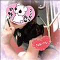 最近のお気に入り(*´?`*)