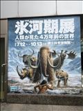 やっと行けたー！！