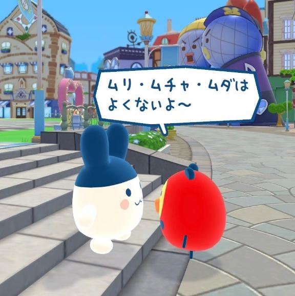 来週の予定