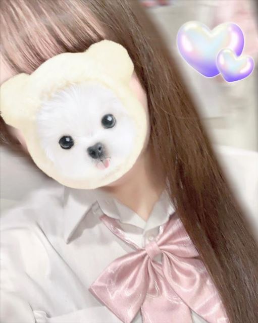 あめだね??