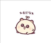 あやめ・来てるよ～