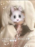 うさぎなったよ～