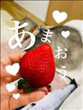 【朗報】ネット予約