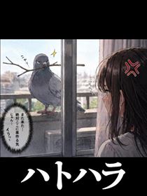 こうめ・嫌がらせ行為