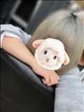1日たいせつ