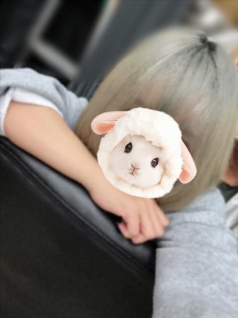 1日たいせつ