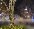 こんばんは＼(^▽^)／