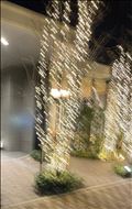 まだクリスマス！？