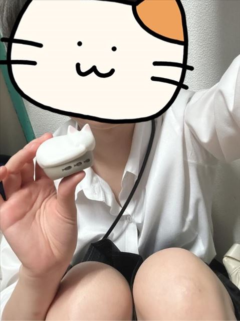 ねこ！
