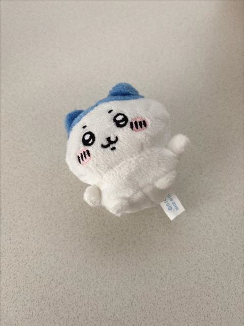 すみません、、