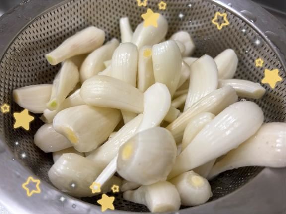らっきょう！！