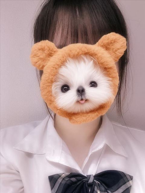 しゅうまつ