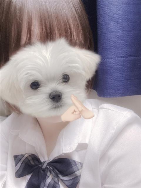 眠りがはかどる～