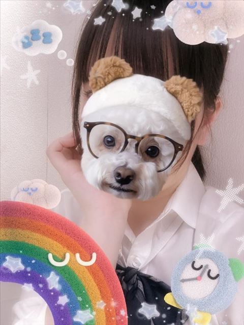 じめじめとポケポケ