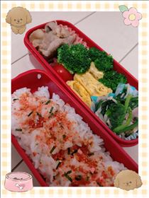 さゆり・今日のお弁当