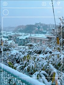 さゆり・雪
