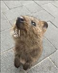 ?