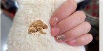 かずは・本日?19:30