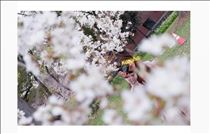 かずは・4月???