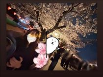 かずは・さくらーー?