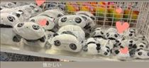 かずは・このあと?