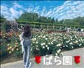 薔薇園?