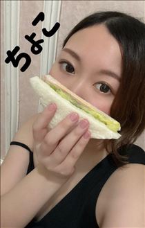 ちょこ・出勤してます