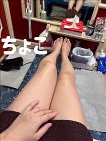 ちょこ・出勤してます