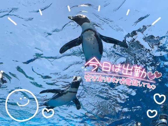 貧弱貧弱ゥ！！