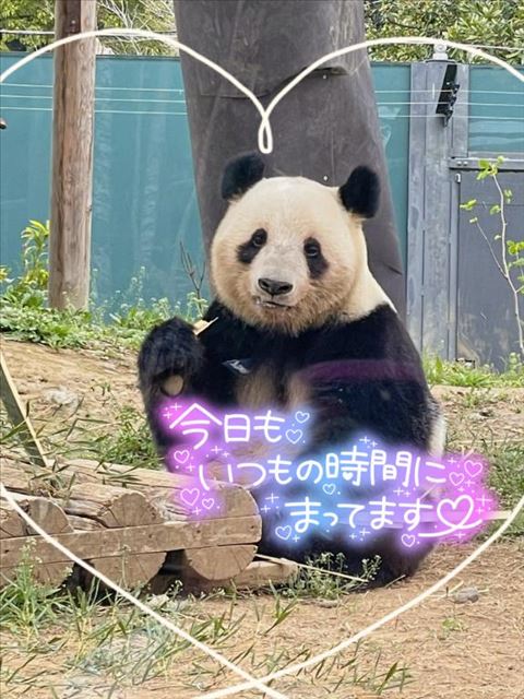 実は……