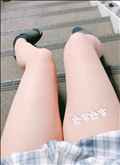 痩せてもふとい