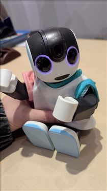 みこと・大人のおもちゃ?