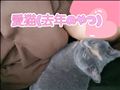 愛猫ちゃん^._.^