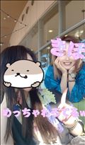 今日は涼しい???