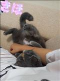 こ、腰が(´?ω?`)