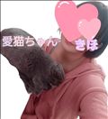 なんだと！？！？！