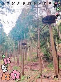 きょうこ・山の日??