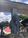 6月スタート！