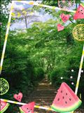 自然が恋しい。。