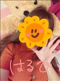 。◯  ぬいぐるみパラダイス  ◯  。